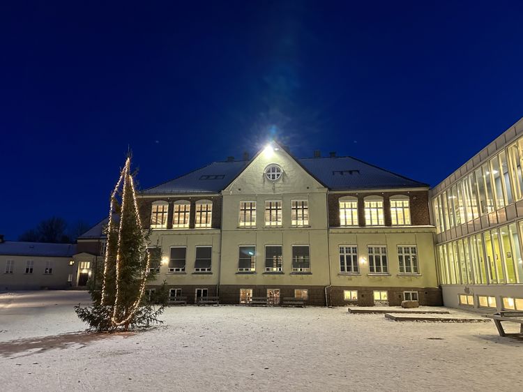 Juletre i skolegården