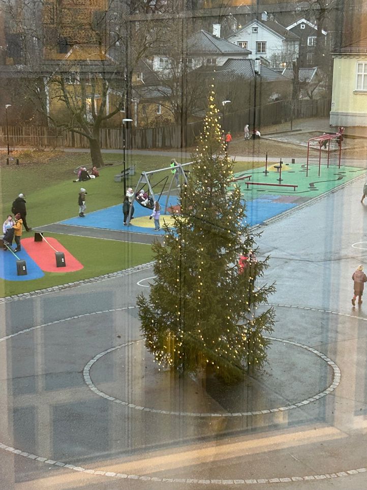 et tre i en park et tre i en park