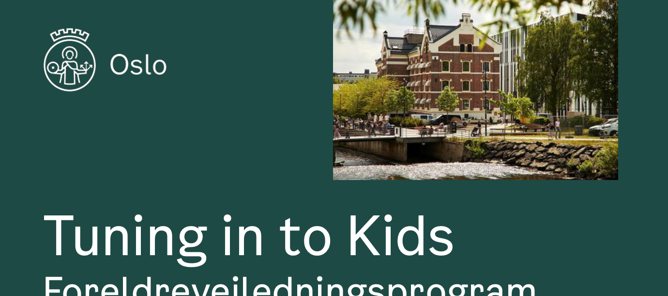 Grafisk brukergrensesnitt