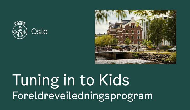 Grafisk brukergrensesnitt